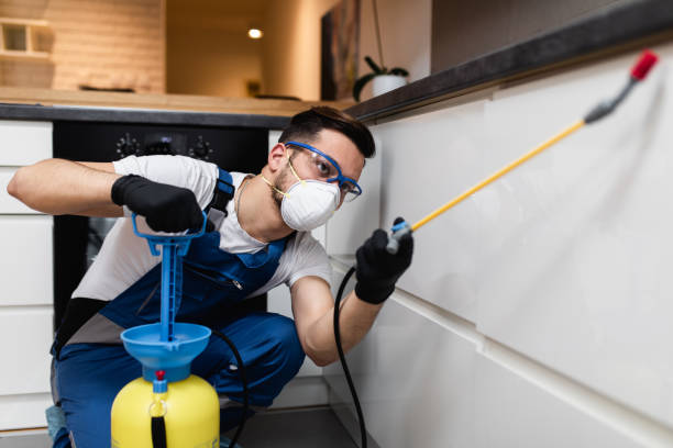 Best Flea Control Services  in De Leon Springs, FL