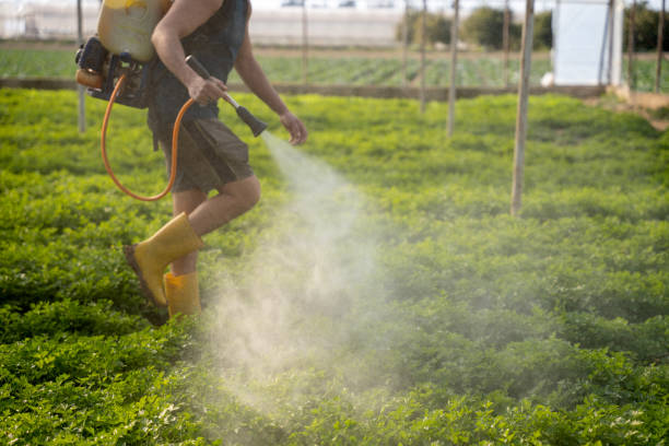 Best Exterminator Services  in De Leon Springs, FL