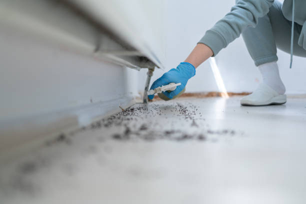 Best Mosquito Control Services  in De Leon Springs, FL